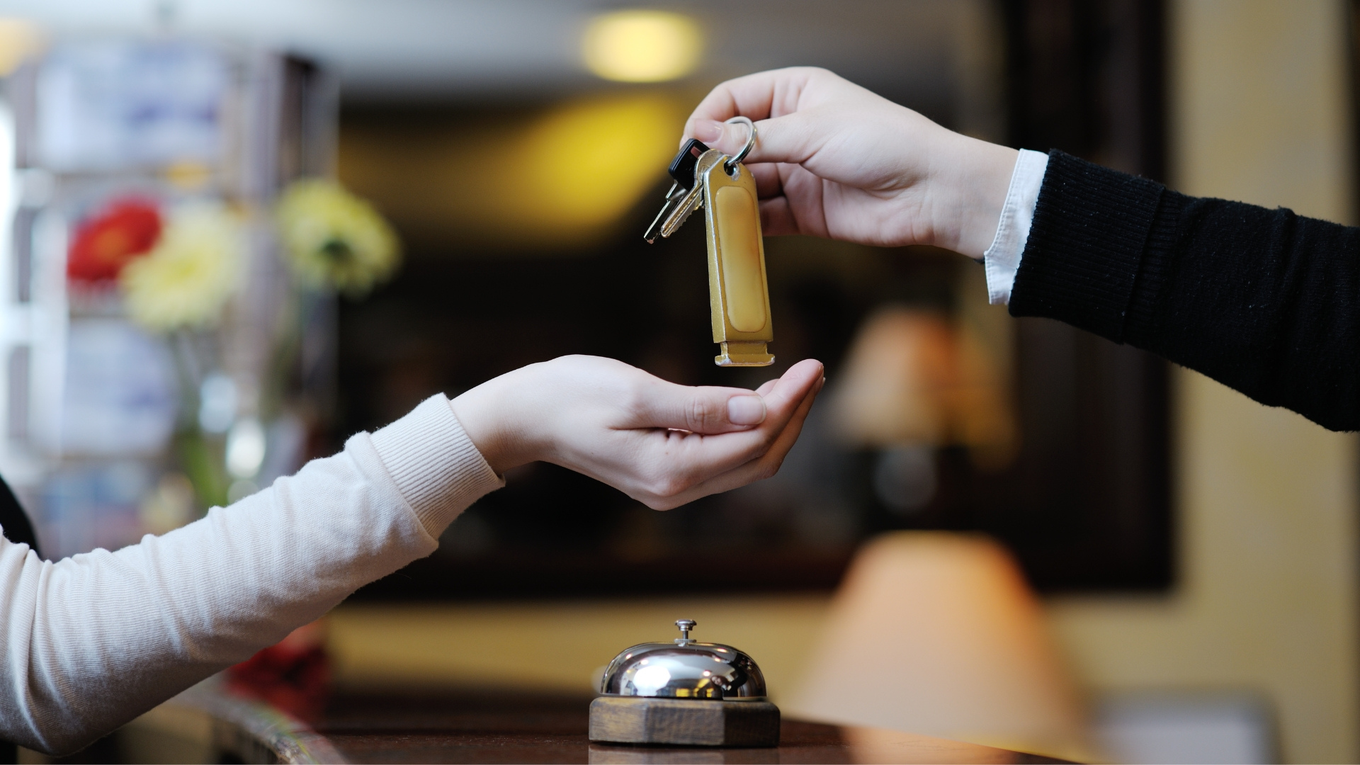 hotelboost-seg.galeria1